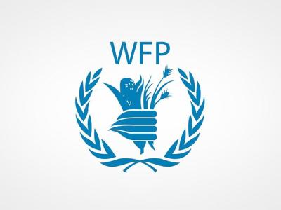 الاغذية