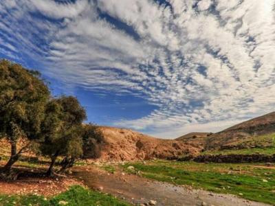 الطقس