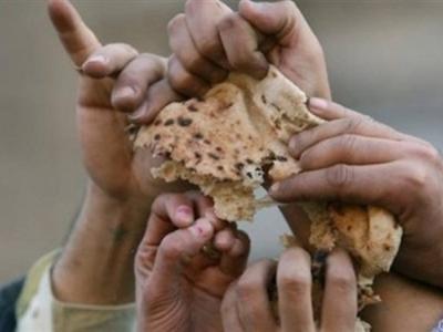 معا الاخبارية